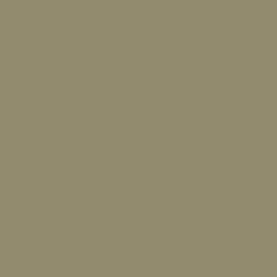 Color CASTORO