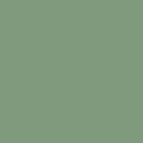 Color MIMETICO
