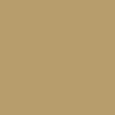 Color BURRO/ANTILOPE