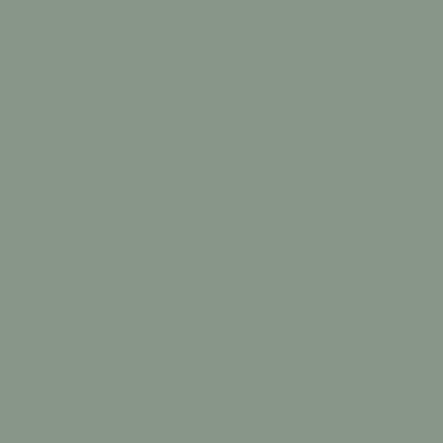 Color BURRO/SMOKED GREEN