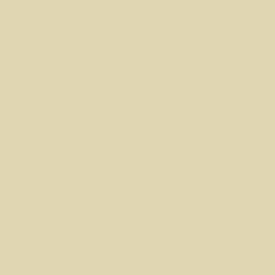 Color OAT MILK